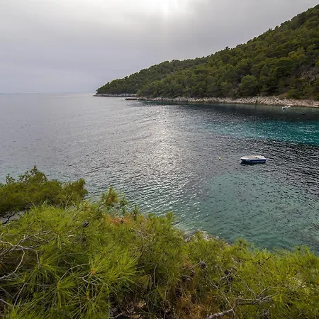 Secluded Fisherman's Cove Skozanje, Hvar - 4009 Holiday home *